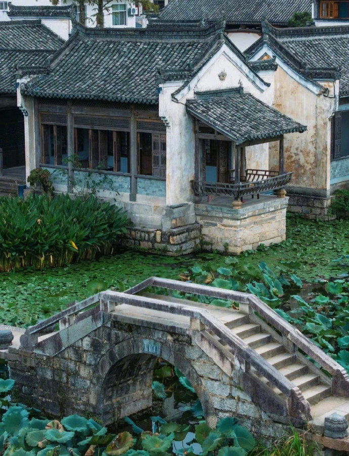 “一念江南...”