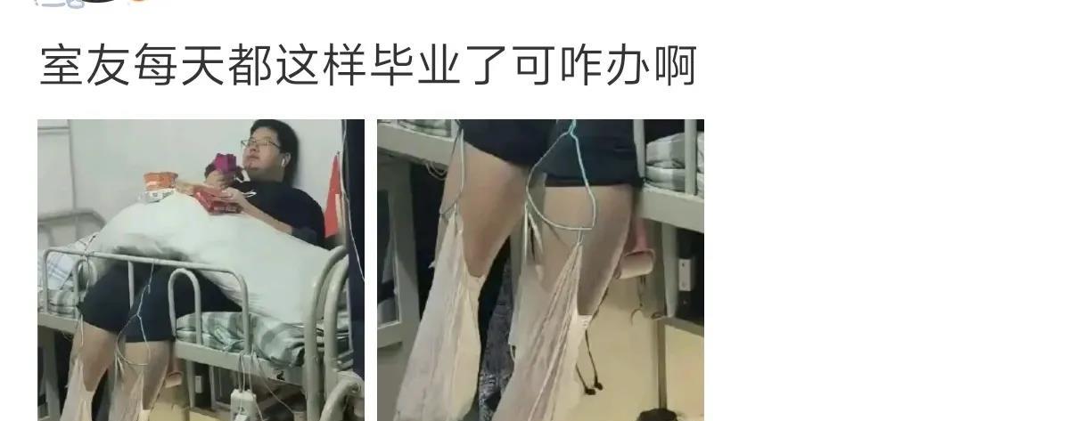 毕业了就有钱买盆了
