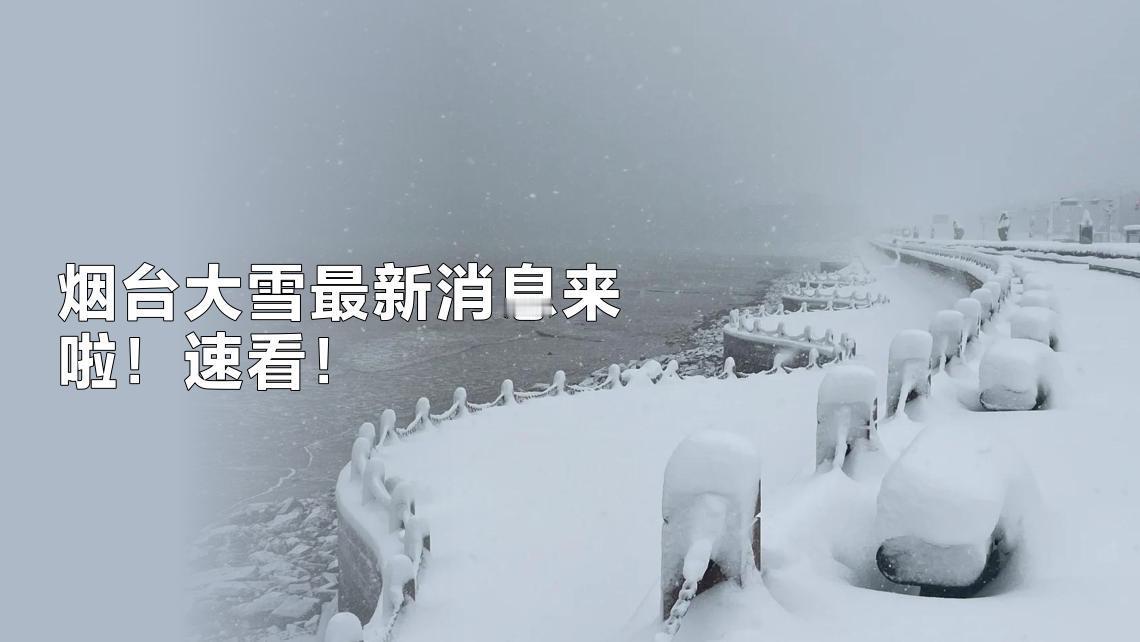烟台威海暴雪封城惊艳全网！山东变身冰雪仙境引百万人围观，暖心故事正在雪中上演