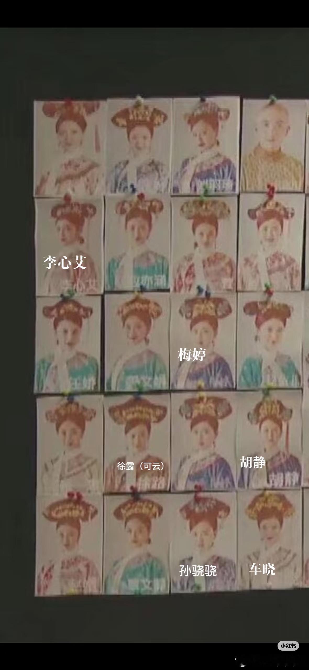 那些年如懿传试镜过的女星