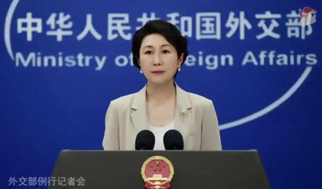 曾被中方制裁的荷兰大臣，今天怎么好意思来华求合作？中方的回应太体面了 7月6