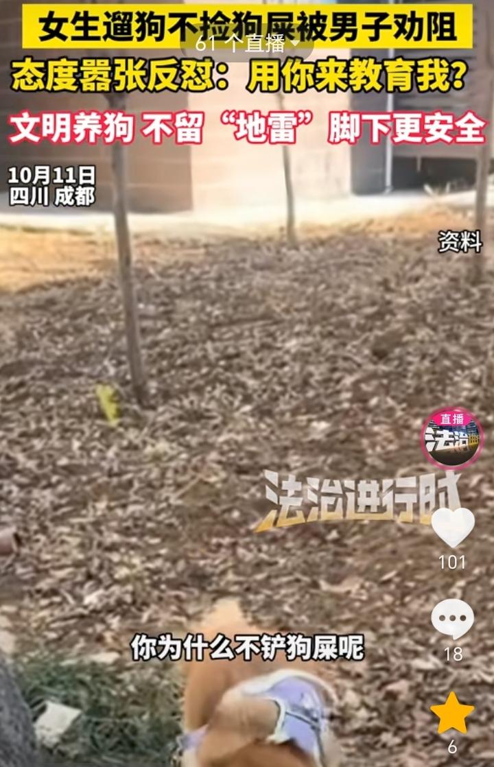 用你来教育我？四川成都，女子遛狗让狗随地拉屎不给铲，男子劝阻被女子反怼。据法