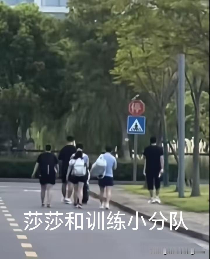 看到莎莎和训练小分队在上海崇明岛封训基一起上下训的画面哦。虽然照片模糊，但是一眼