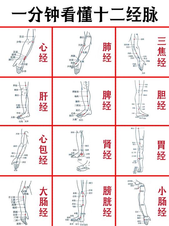 一分钟看完人体1️⃣2️⃣经络走向及疏 通方法