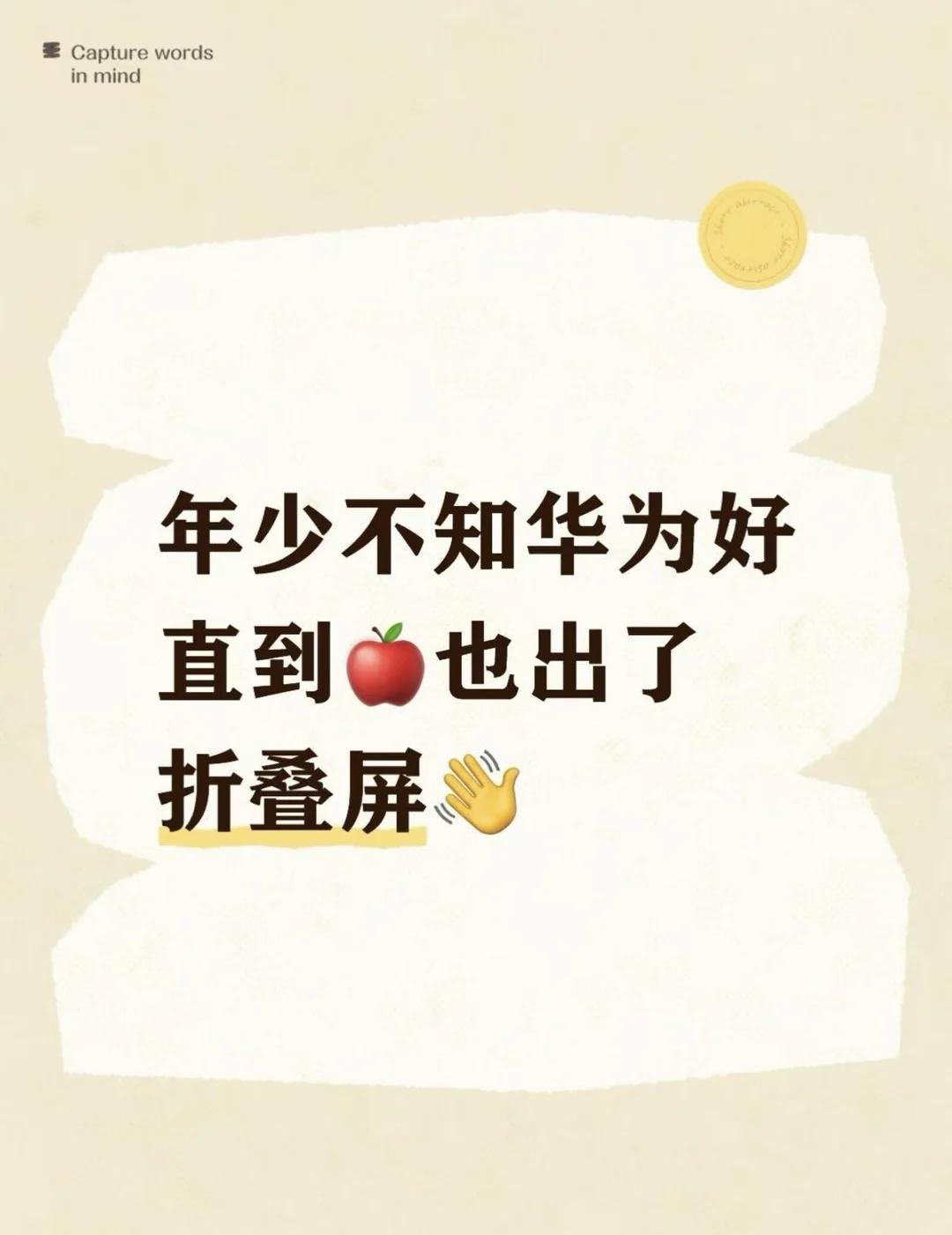 年少不知华为好，直到🍎也出了折叠屏👋为选阔折叠纠结了一阵子，实在太内耗了?