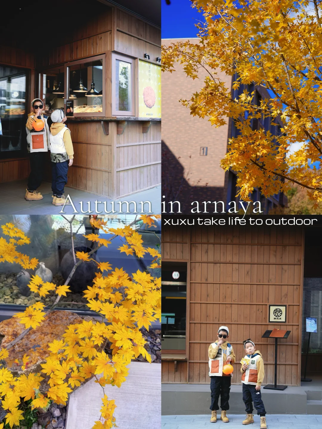 深秋的金山岭阿那亚可冲‼️全家夸我定的好