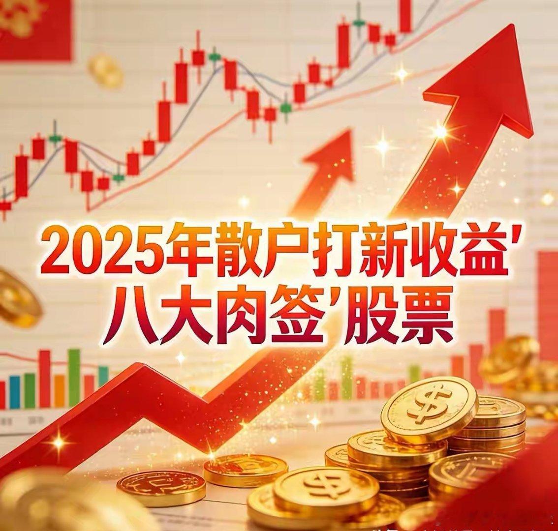 2025年散户打新收益"八大肉签"股票：1.摩尔线程发行价：114.28元首