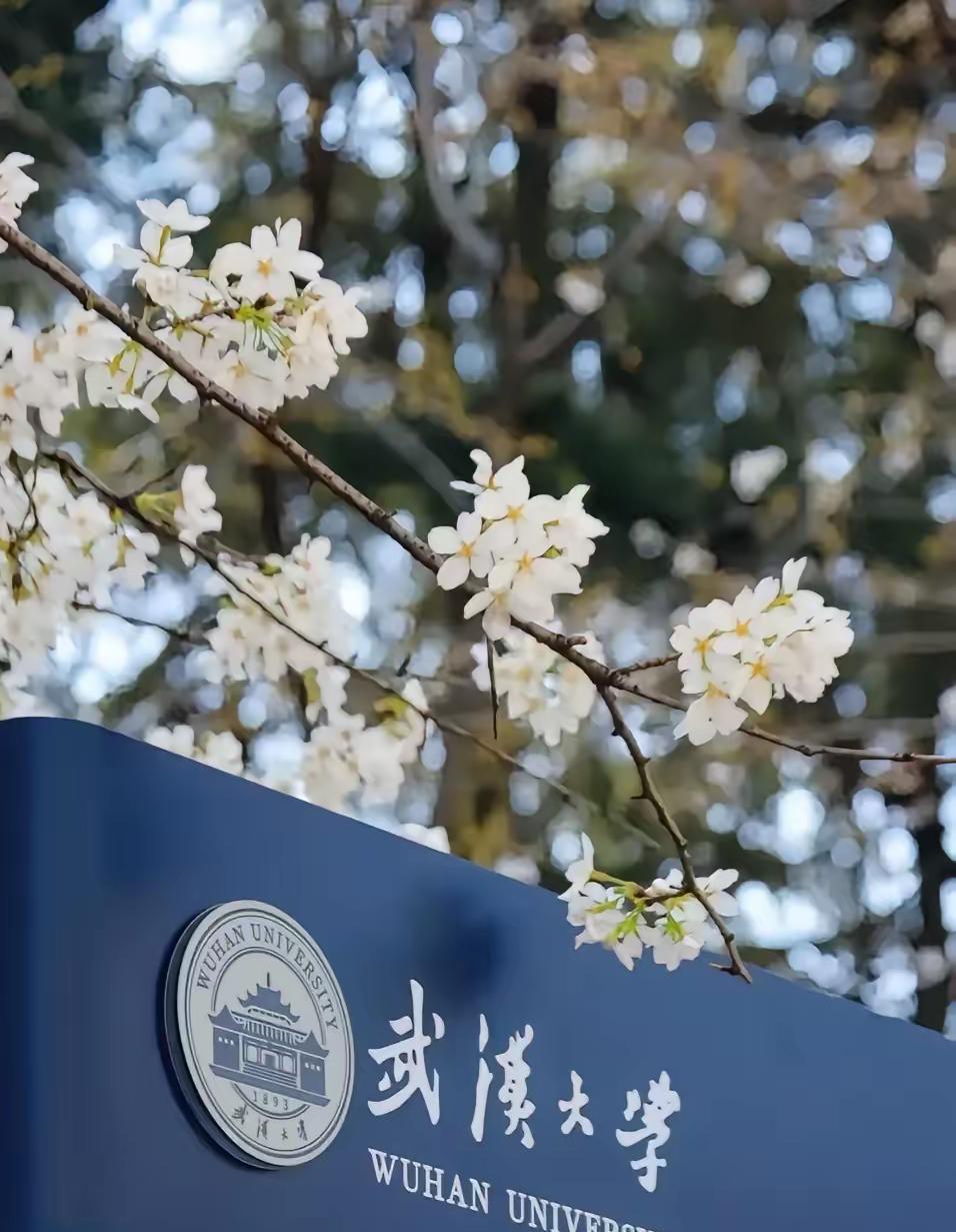 肖同学妈妈起诉武汉大学这事真的太让人感慨了。她起诉状里那句“我这次起诉不光是为
