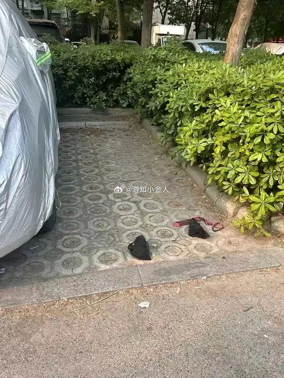 黑丝领带，不是销售就是中介。。。难道还有第三种可能。。？​​​
