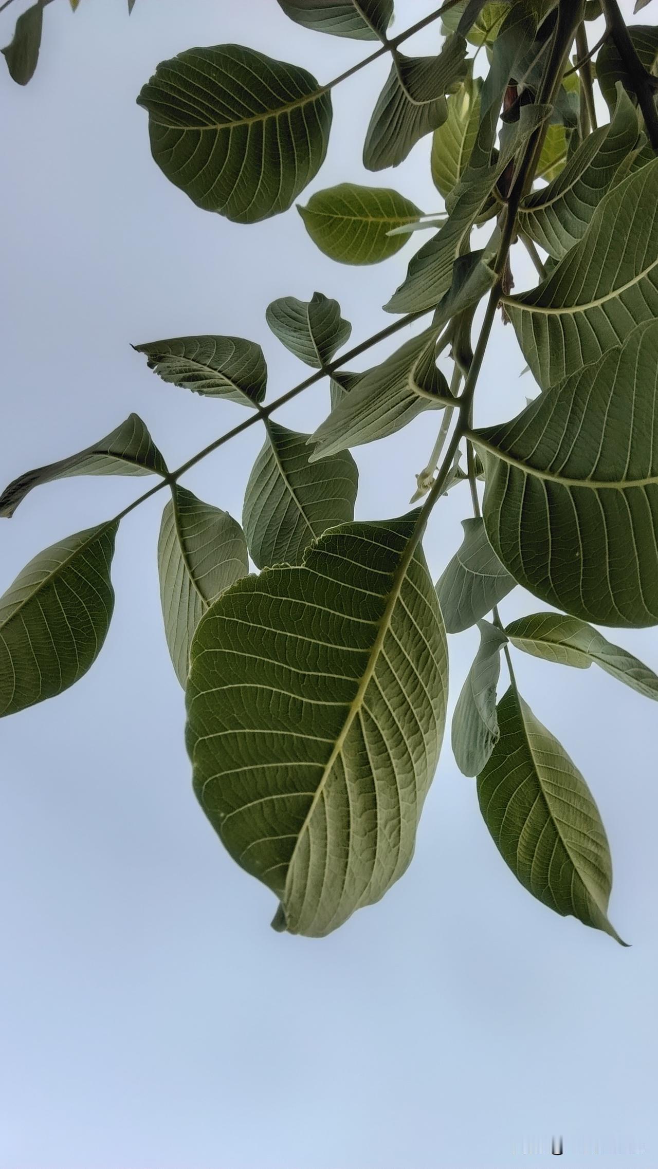 如今的婆婆是欠了儿媳妇的吗？我刷到一篇文章，讲的是一位女子和婆婆住在一起，她老公