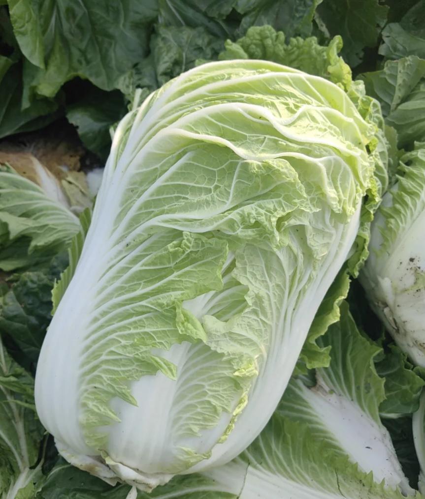 小时候物质匮乏，吃饭主要是为了填饱肚子，选择少，所以吃啥都香。现在生活好了，想吃