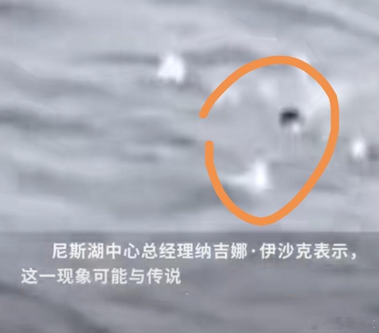 尼斯湖水怪再次被拍到有点侮辱智商了这是谁的拖鞋成精了​​​