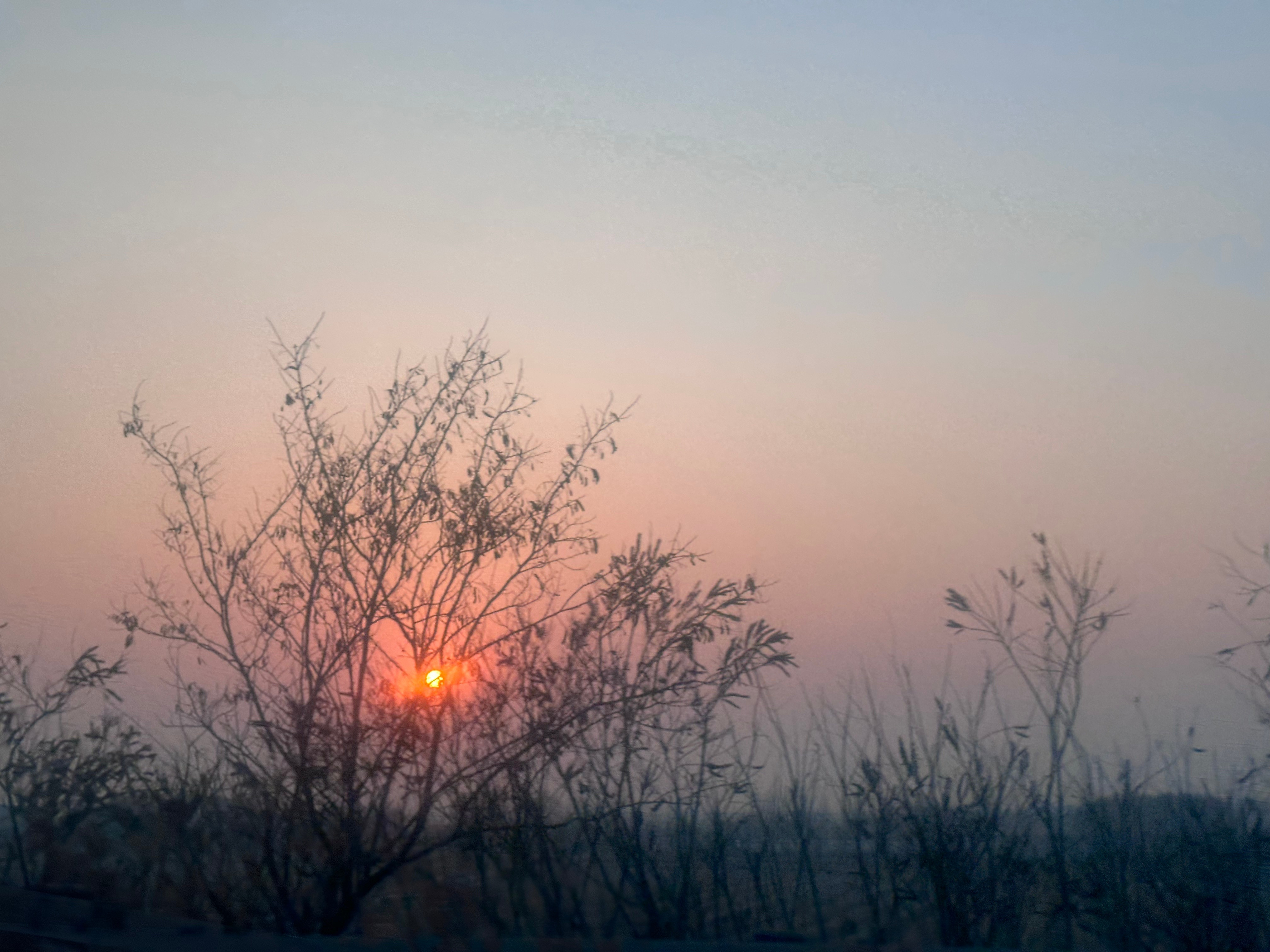 一路向南，从黑土地到燕赵家，途中有广阔的黑土地，有歌中的“塞北残阳”，但最期待的