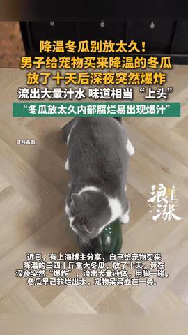 上海一位博主家里，深夜突然传来一声闷响，她起初还以为是啥东西炸了，跑去一看，一个