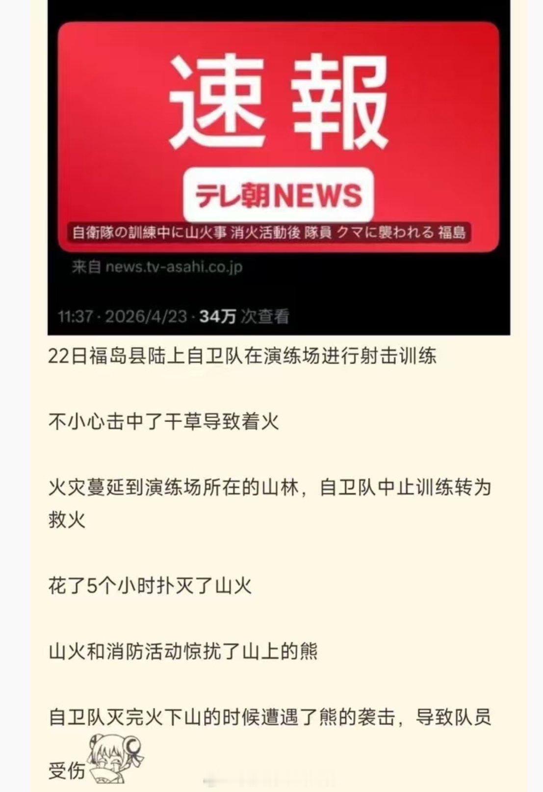 熊熊出击！海外新鲜事