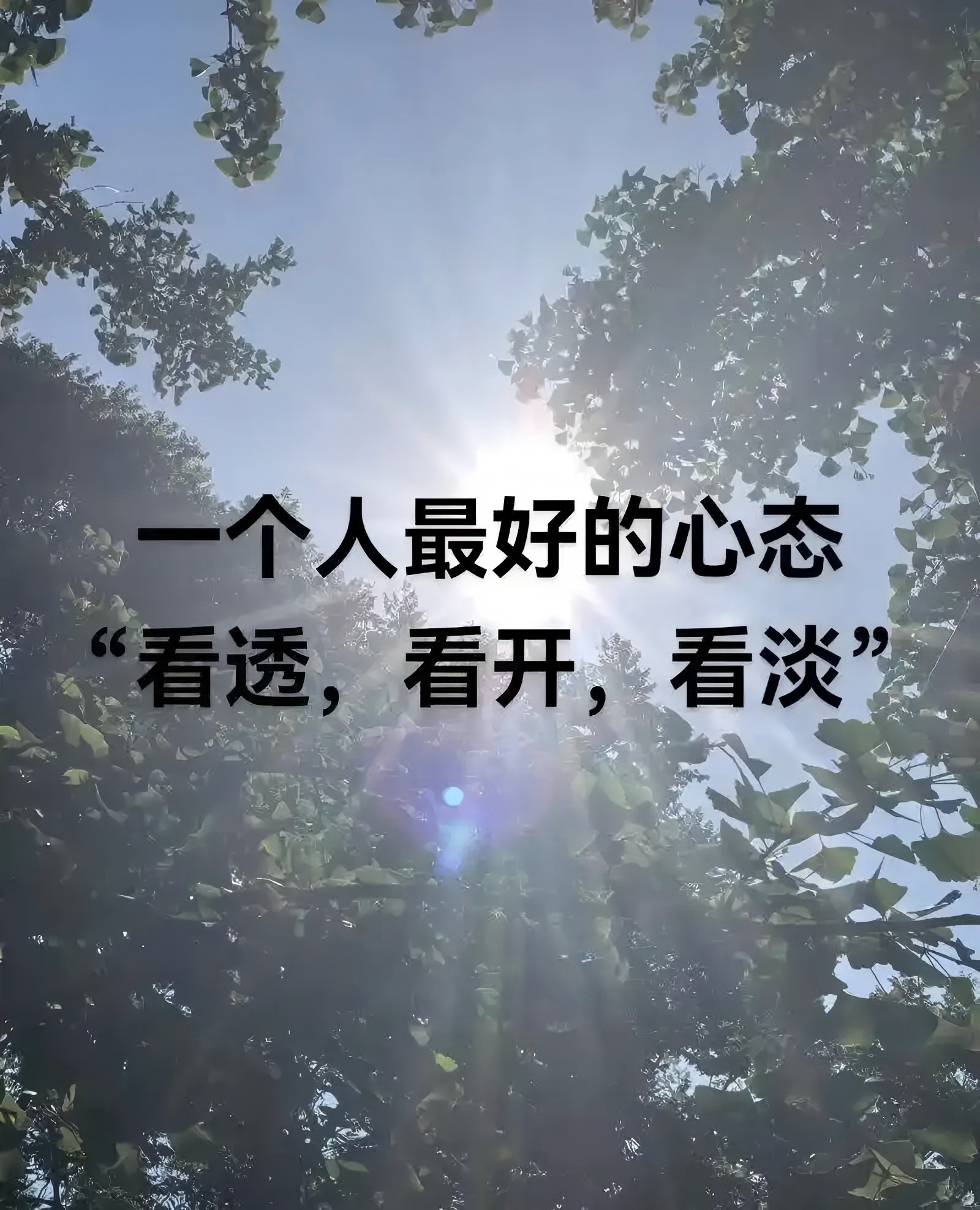 看透，是一种领悟；看淡，是一种轻松；看开，是一种快乐。看得透人情冷暖，方知真情可