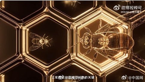 谢谢科学家这个真要谢谢科学家，以前贵族才能吃得起、用得起的顶级奢侈品食材，现在我