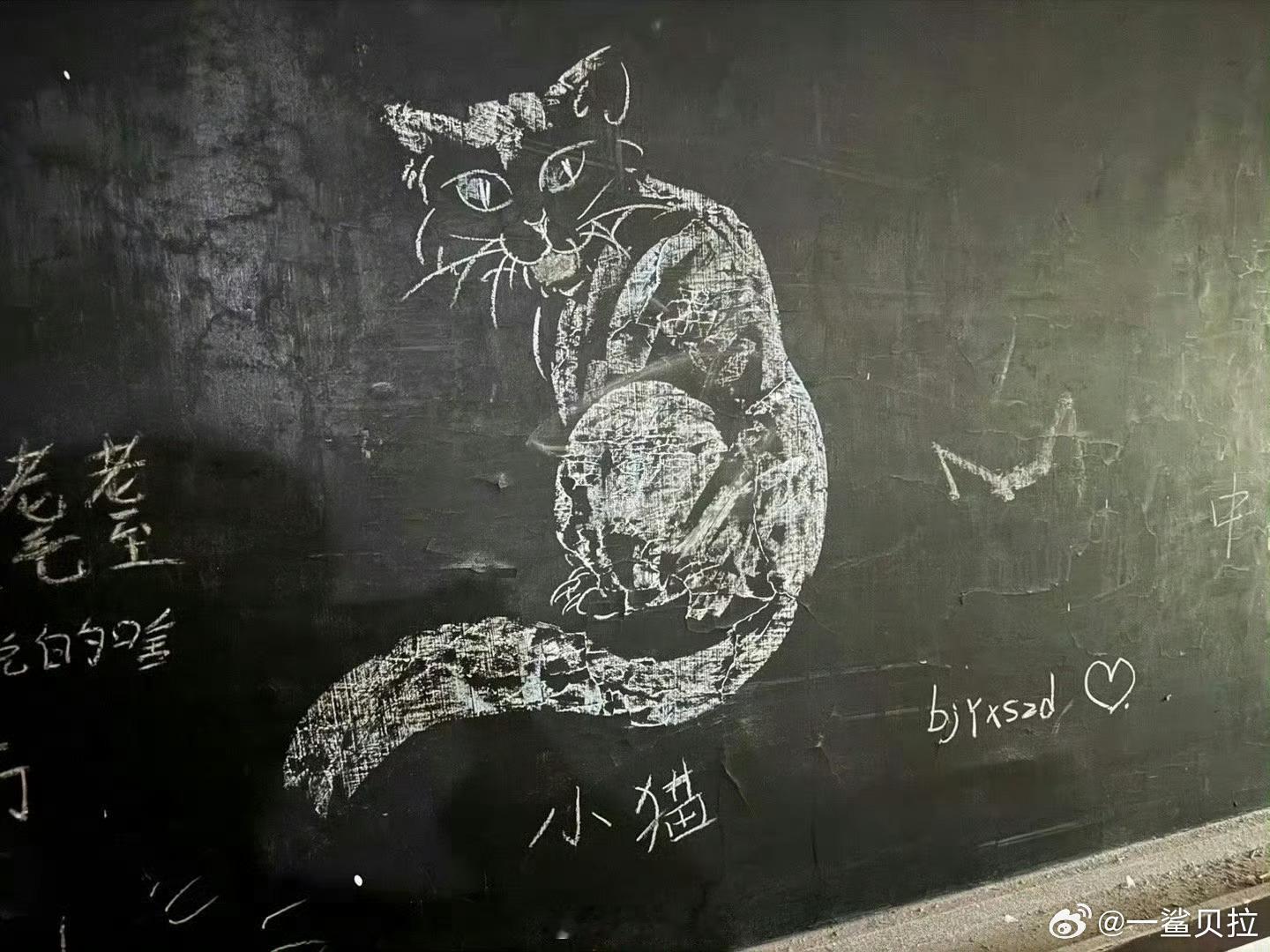 才知道这个耄耋是虐猫梗。。