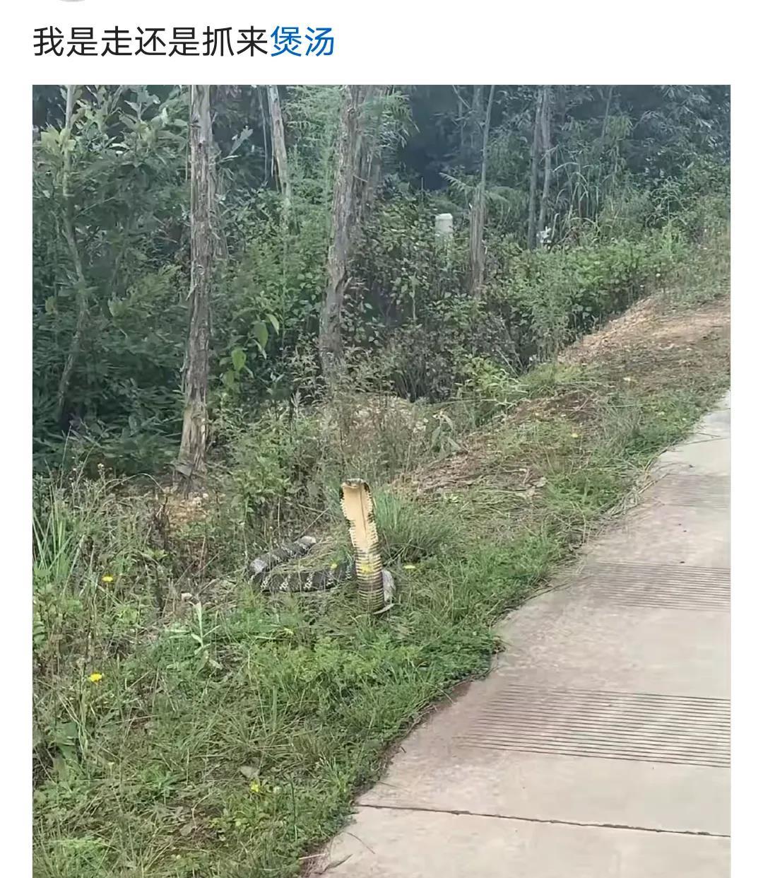 双方都觉得对方是自己的菜