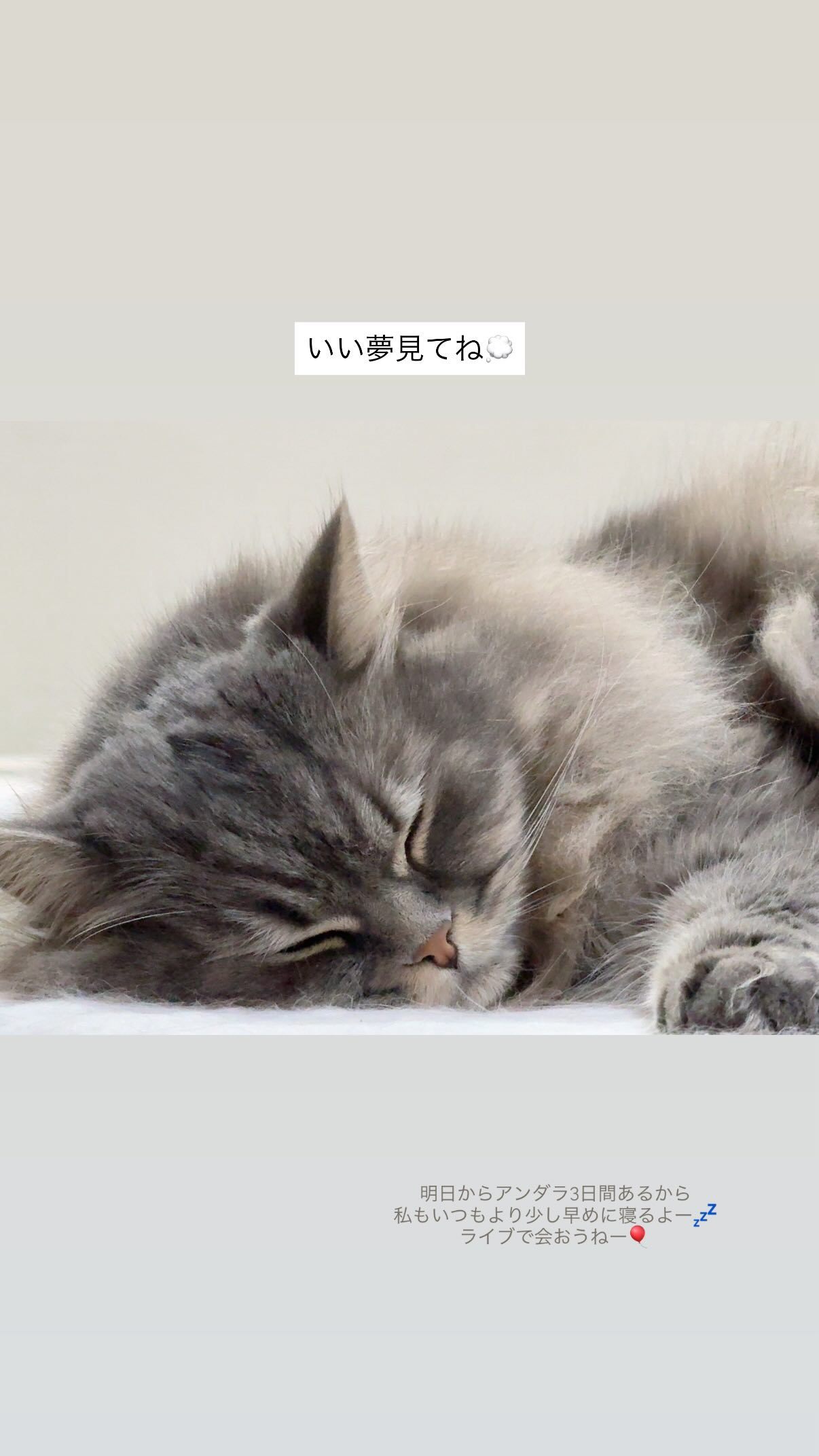 吉田綾乃クリスティー