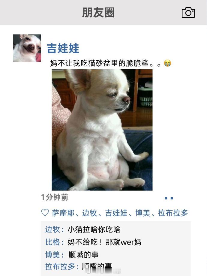 狗狗的朋友圈太有趣了吧​​​