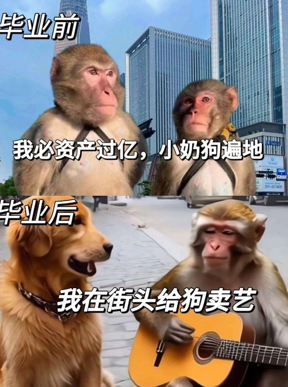 毕业前后现状，太真实了！