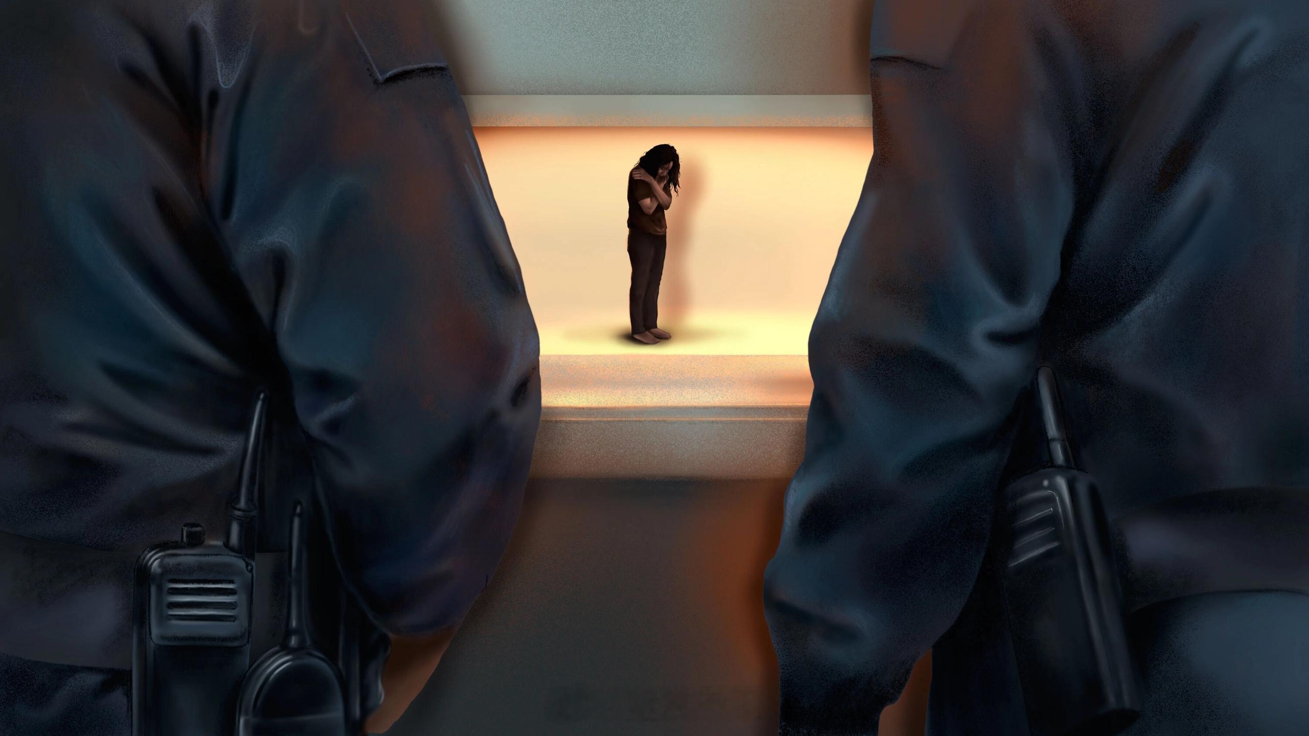 美国移民与海关执法局（ICE）拘留系统医疗照护问题的独立调查与报告美国国会参议