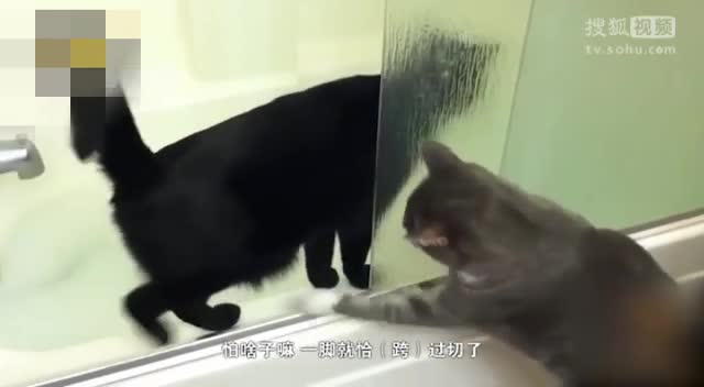 10322191714331115379.jpeg?id=0