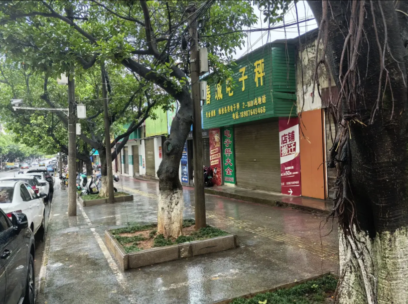 云南至少有20年没有过如此充沛的雨水了，甚至充沛得有点害怕。今年不但雨水来得早，