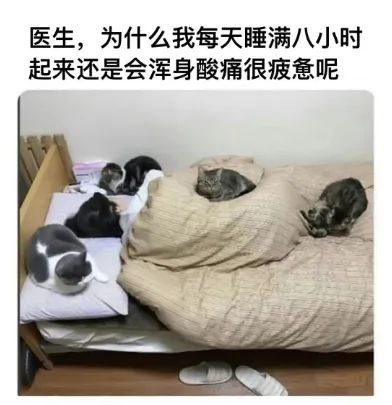 怎么会是呢