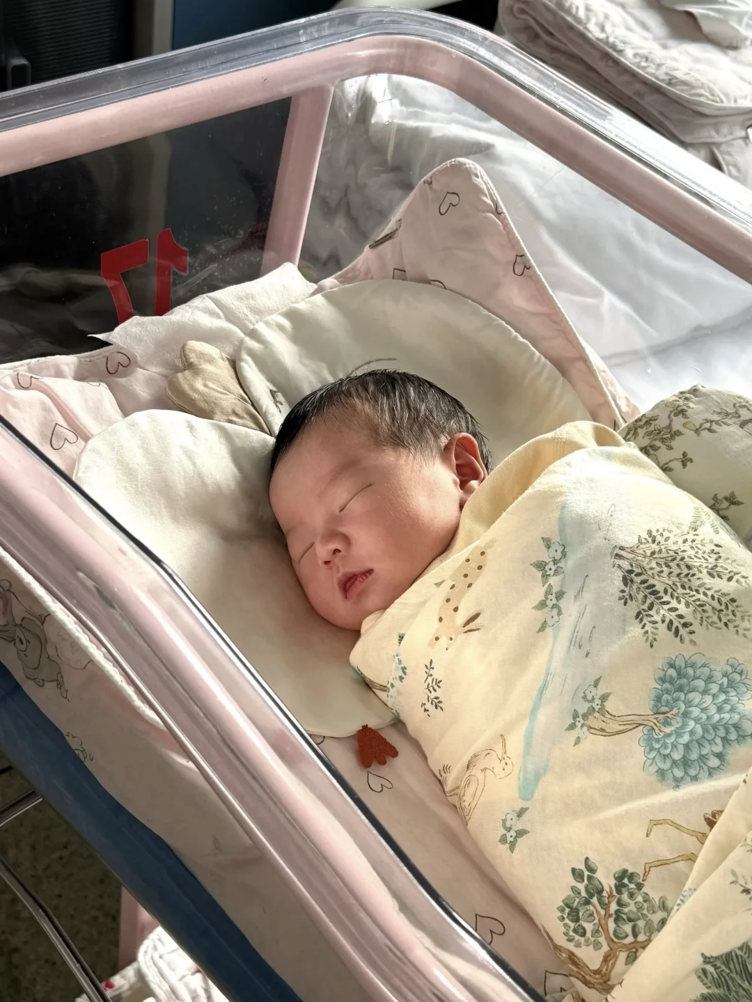 我生完了，想告诉预产期1-3月的姐妹！