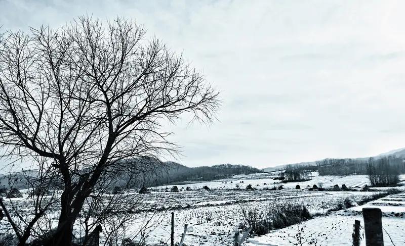 洒脱咖啡0Zz的《冬景》，如一支灵动画笔，勾勒出一幅绝美冬日画卷。开篇“荒山锁雾