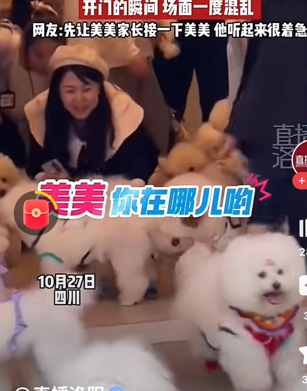 每月学费12000，竟是狗狗上幼儿园的费用，我确定我没有听错！无意间看到一个