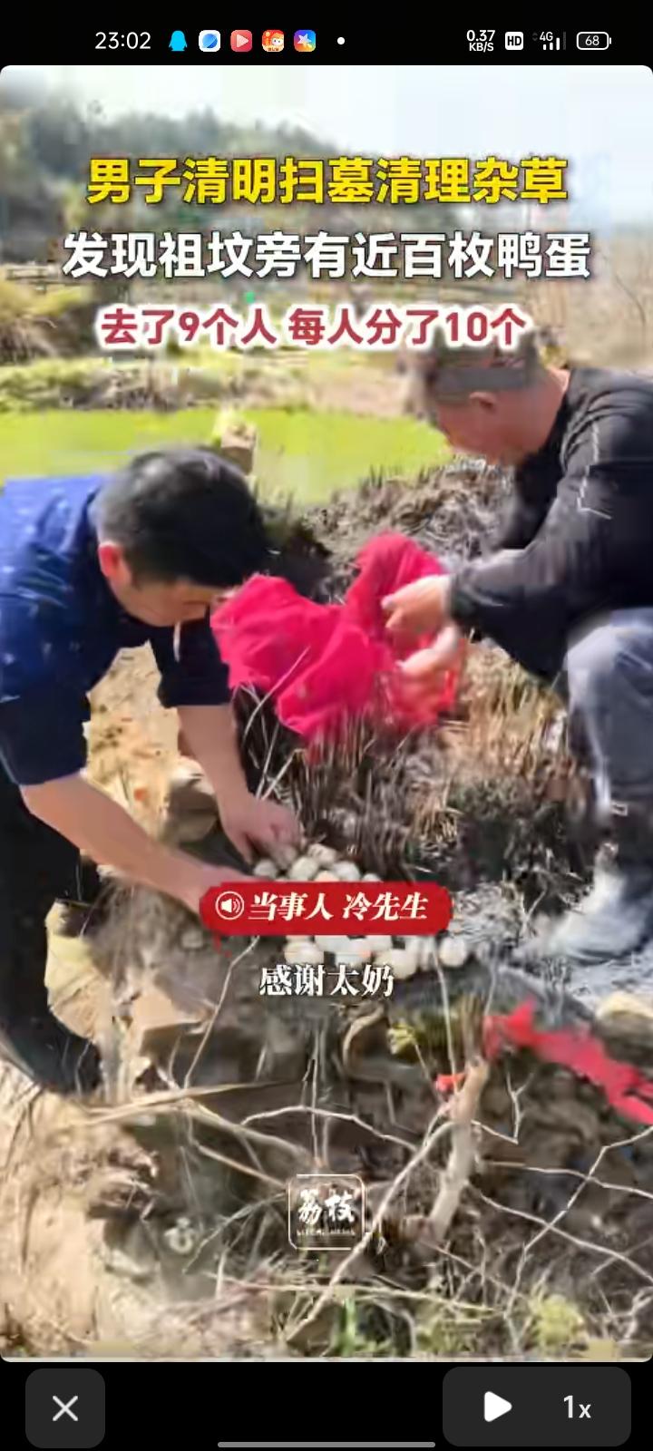 4月6日，江西九江。网友发视频称，清明扫墓时，祖坟旁都是田地，清理杂草后发现坟旁
