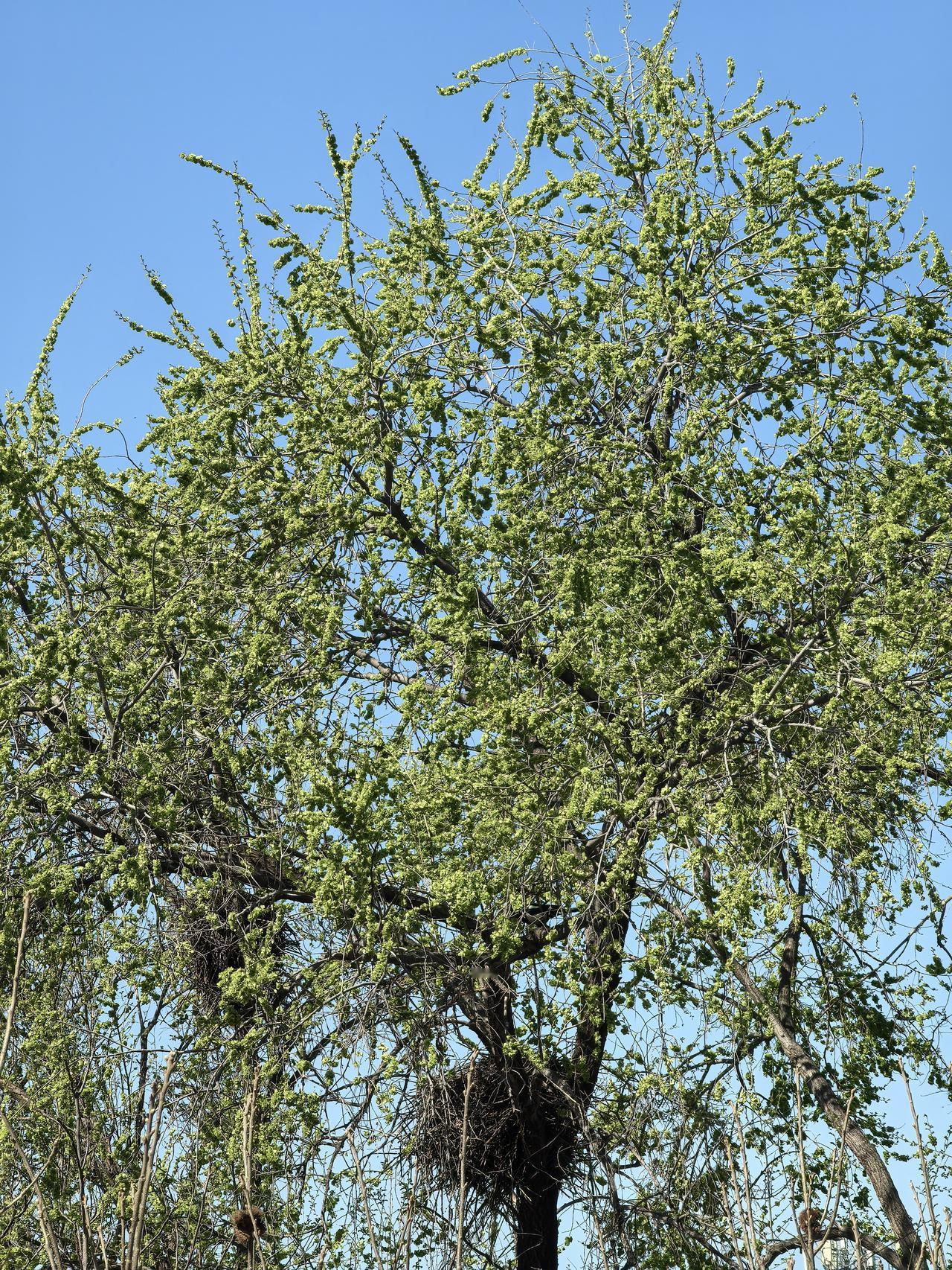 你在嚷嚷我投诉你，你还让不让人睡会儿觉了？一位坐在980头班公交车上，有位乘客怒