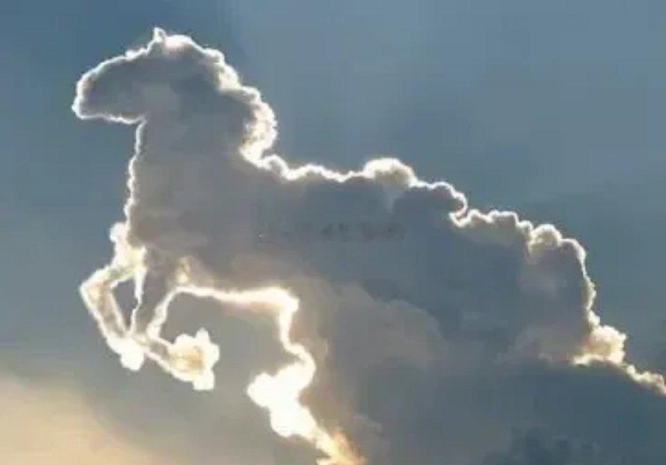 19年炒光伏储能时，逆变器批量10倍股23年炒AI算力之时，光模块批量10倍股！