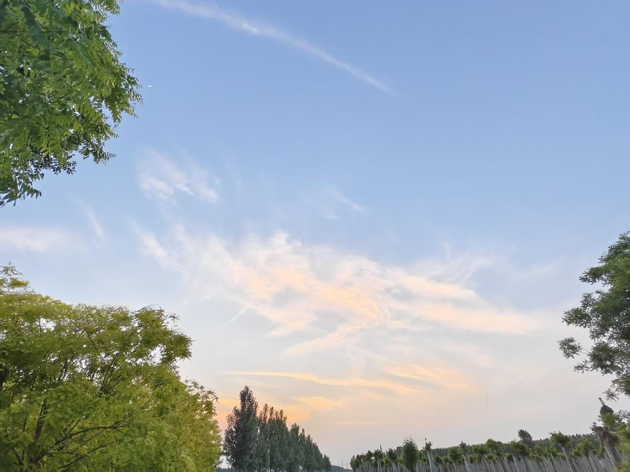 随手拍公园美景