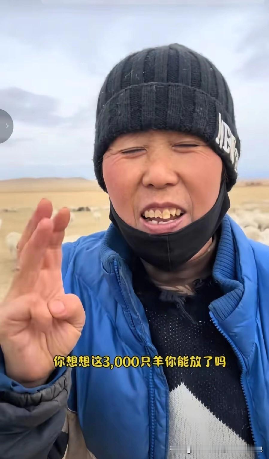 内蒙放羊大姐的大实话：高薪背后，是常人扛不住的苦在内蒙古放牧1000多只羊的