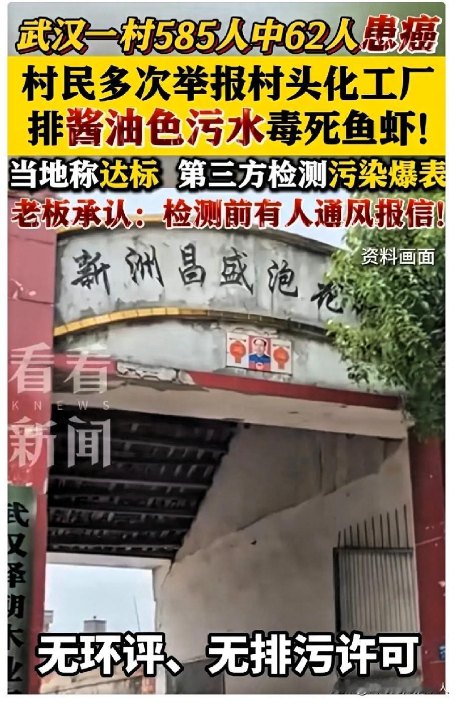 武汉“癌症村”涉事泡花碱厂老板承认：环保检测前，有人提前通风报信。该厂成立于