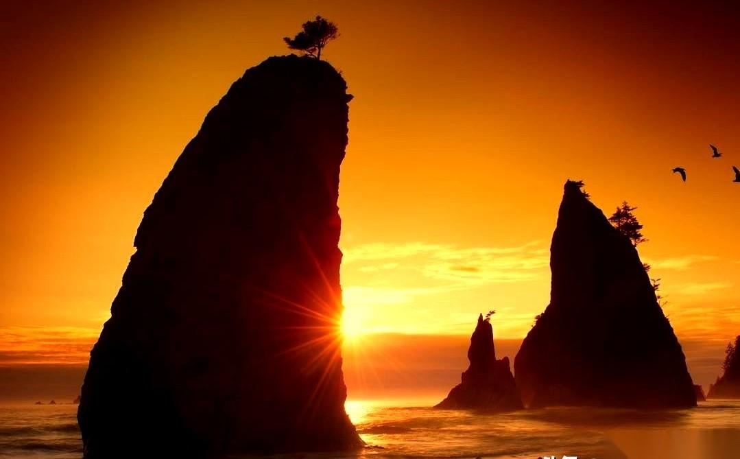 没了券商摇旗，你指望谁给你抬轿子？一堆人在那儿煞有介事地分析，说这轮不一样了，