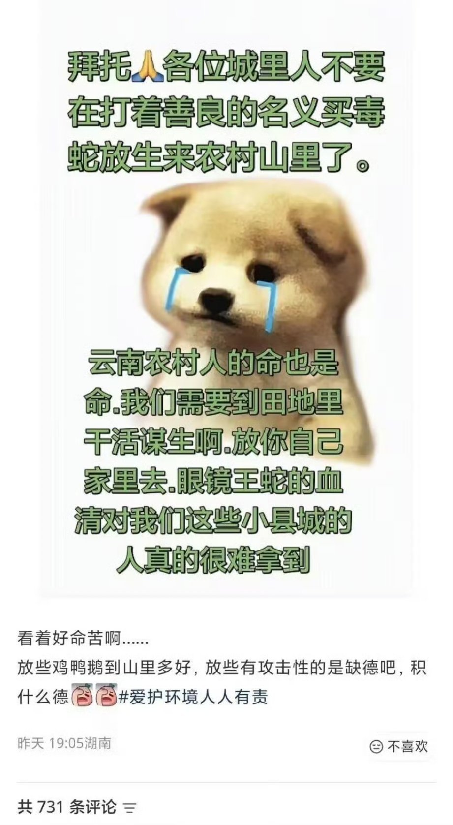 不要买毒蛇放生到农村山里了