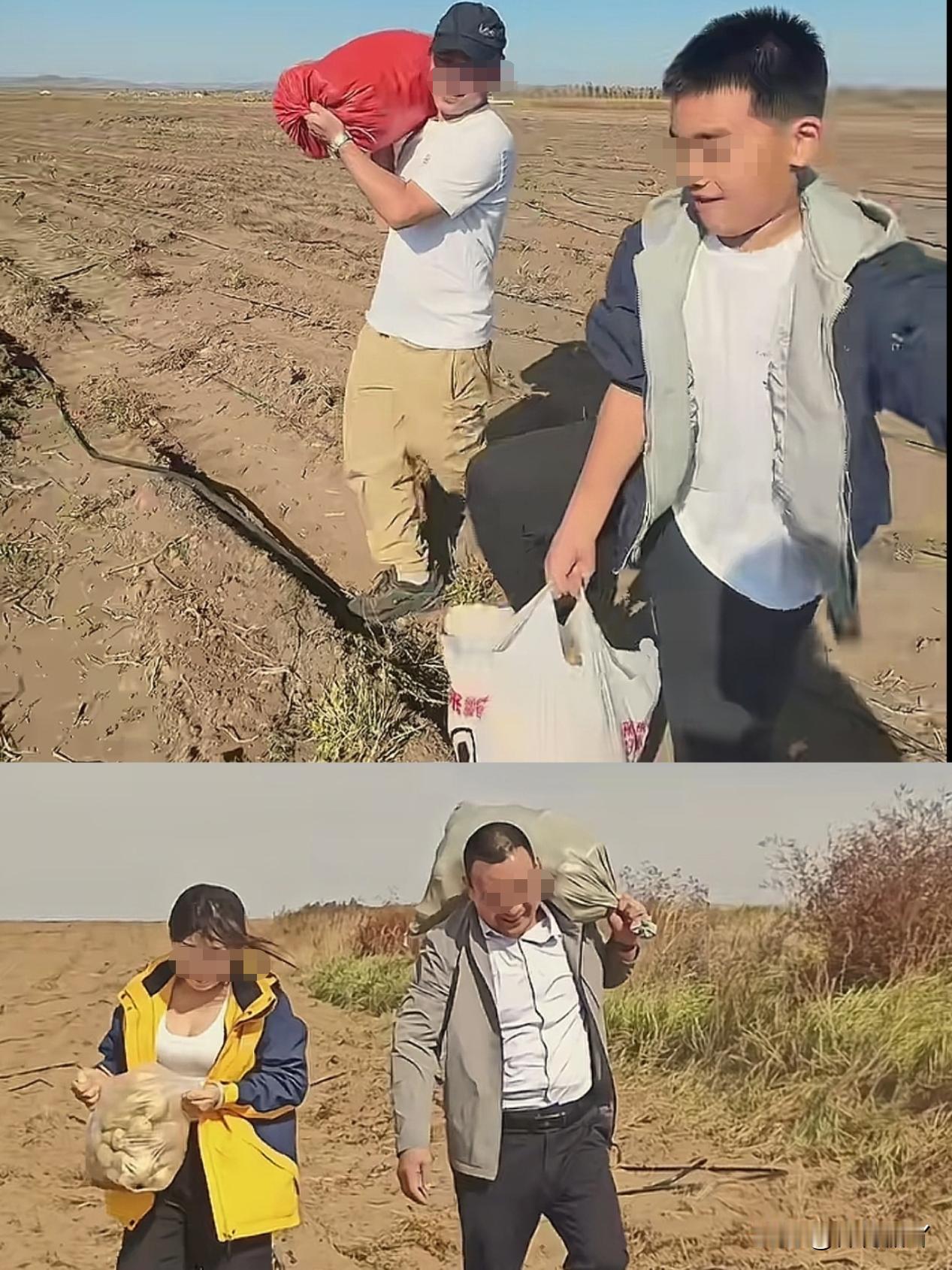一觉醒来，内蒙古赢麻了！国道边50辆车停成排，游客不看草原专捡土豆，真相太暖