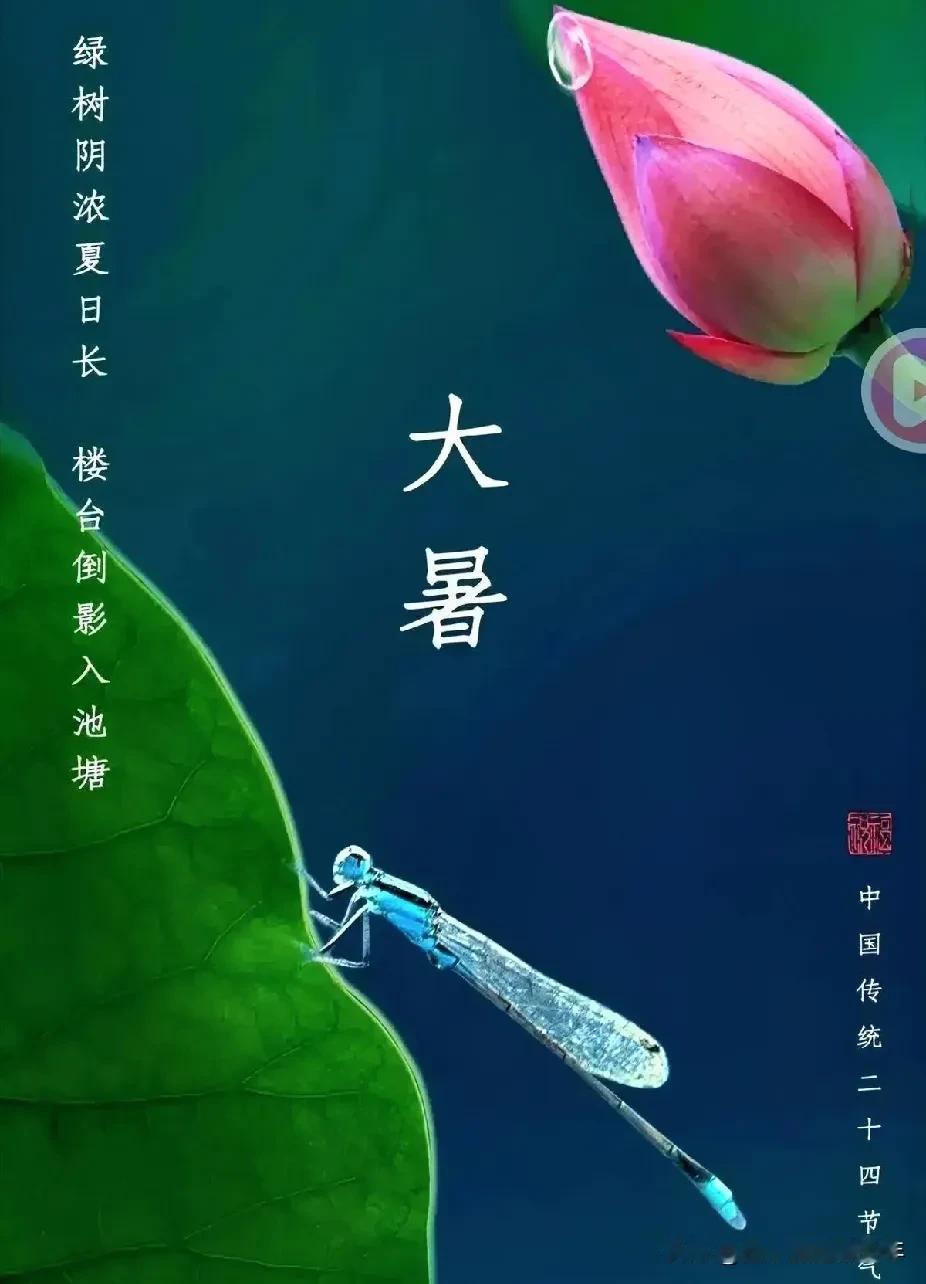 实话实说：大暑真的很受益，身上不用多加衣。蔬菜水果皆便宜，吃饱喝足笑嘻嘻