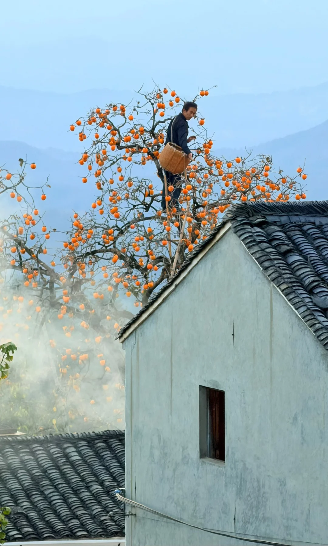 全屏live | 皖南的秋天真的杀疯了‼️‼️‼️