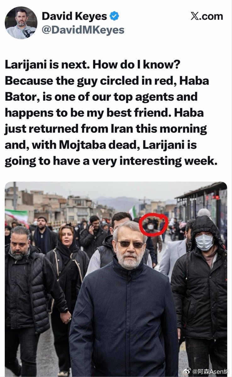 以色列总理前发言人戴维·凯斯三天前在推特上发布了一张拉里贾尼和一群同伴的照片。照