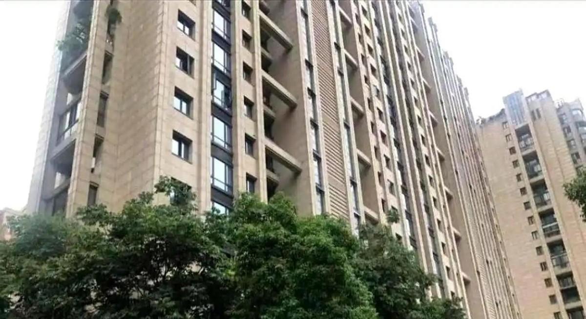 🌞“白嫖上瘾了！”四川成都，老实人杨东掏空积蓄入手了一套法拍房，谁料竟坠入