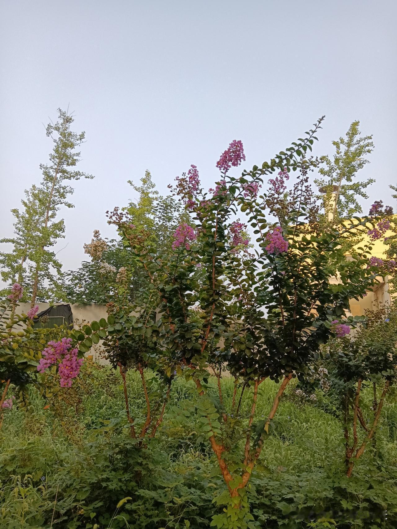 身边是人是鬼，一眼看清：1、喜欢做饭的，一般有耐心。2、晒车晒房的人，成不了