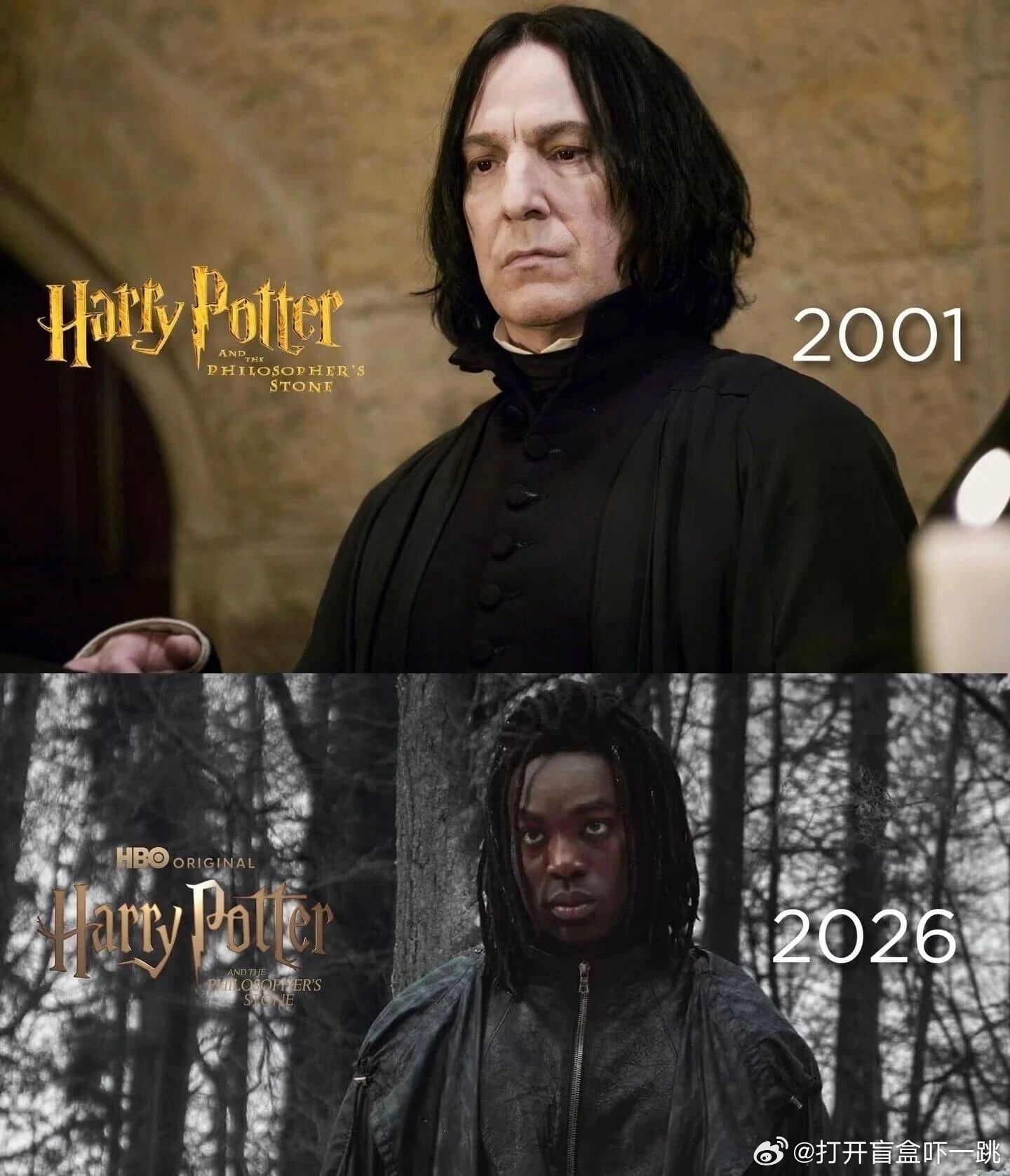 笑死，HBO剧版《哈利·波特》选黑人演员来演斯内普令全球哈迷大呼出戏，结果随着相
