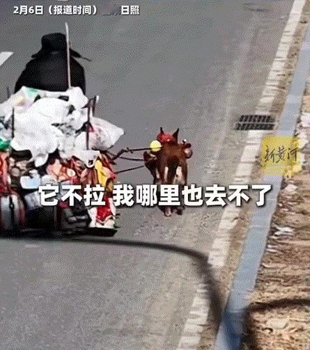 暖心！山东日照，一拾荒老人十五年前在垃圾堆捡到一只小奶狗，自此之后一人一狗便相依