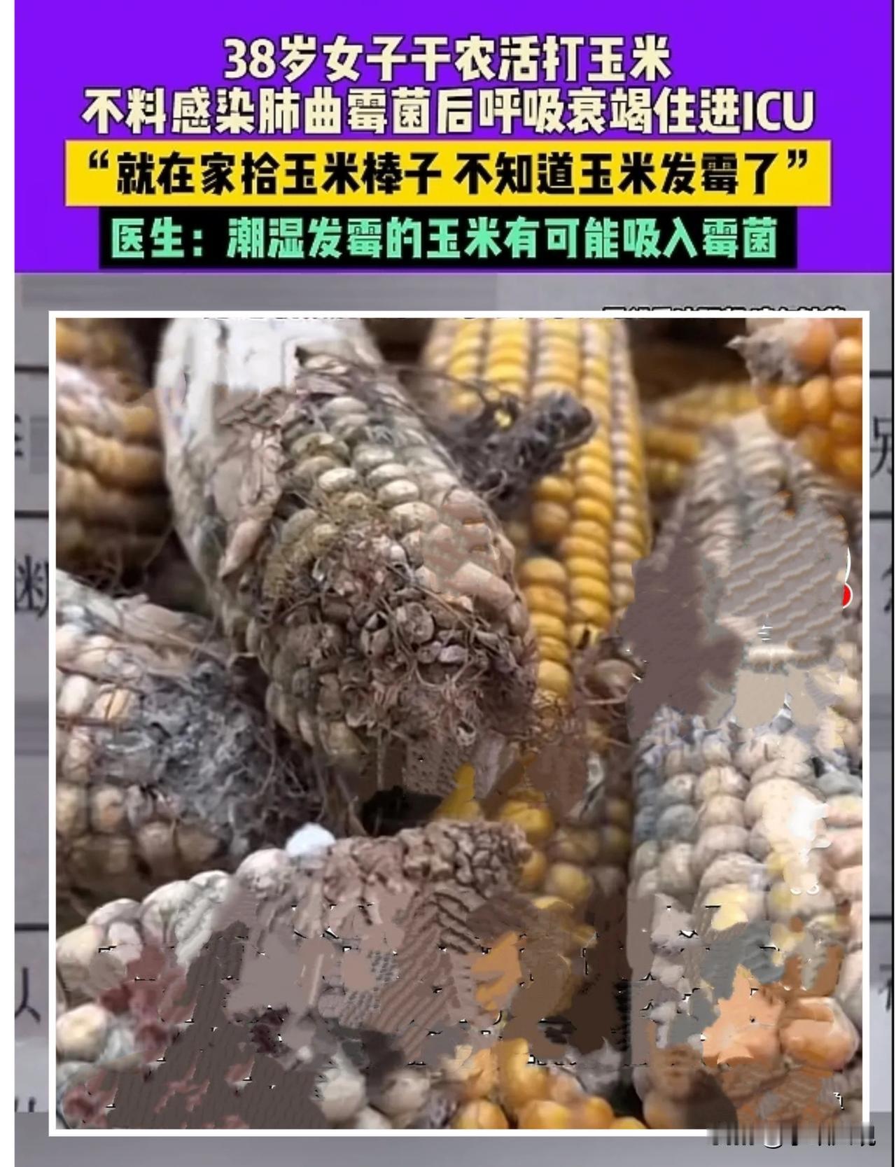 谁能想到?河南商丘38岁女子收玉米时以为得的是小感冒,最后竟让她躺进ICU,查出